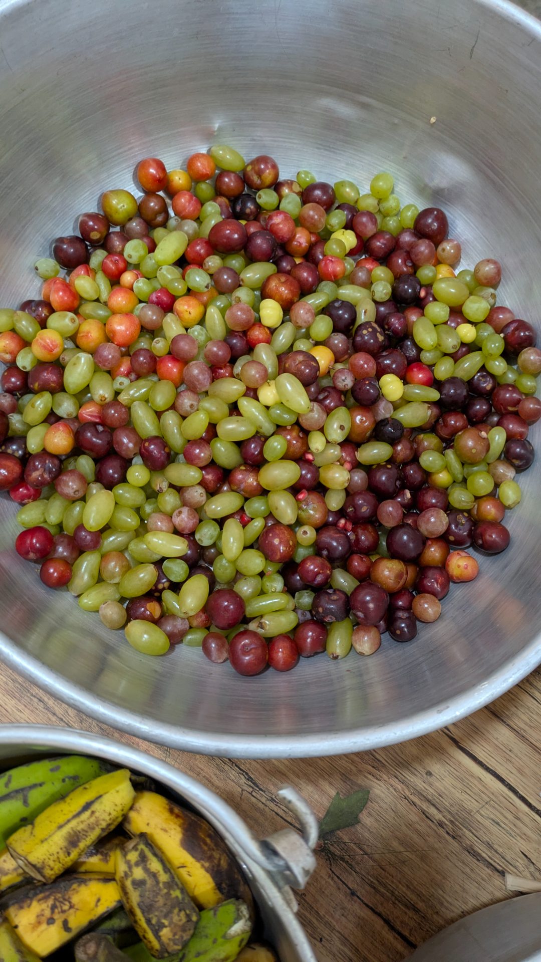 FRUITS DAY